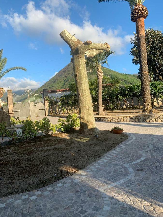 Villa Lucia Terrazza Panoramica Castellammare di Stabia Bagian luar foto